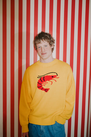 Shrimp Unisex Jumper *pre-order*